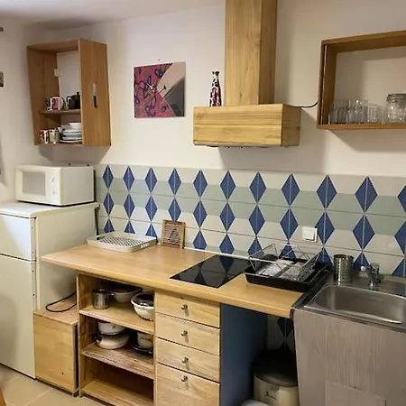 Bluestar For 4 People With A Kitchen And Free Parking 卢布尔雅那