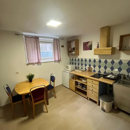 公寓 Bluestar For 4 People With A Kitchen And Free Parking 卢布尔雅那
